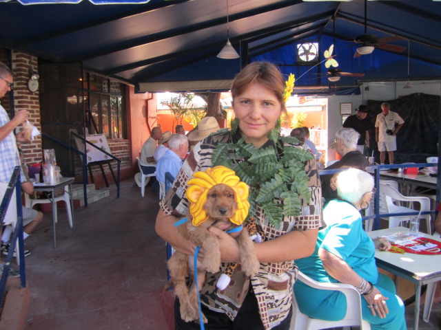 Doggie Costume Parade