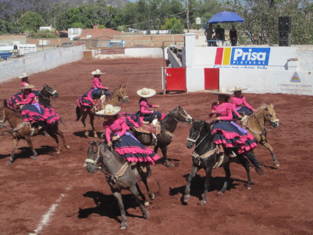 Weaving Horses