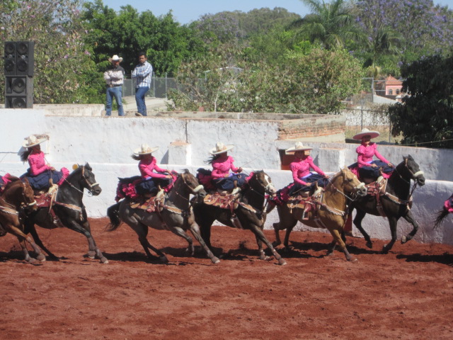 Running Horses