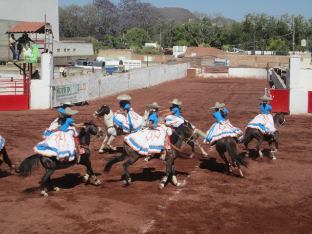 Horses Running in Circles