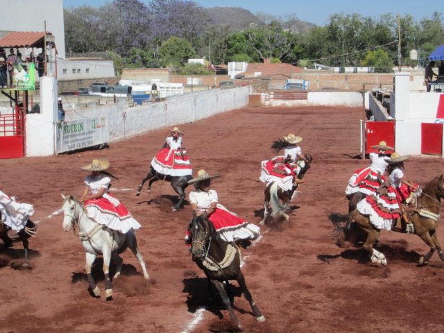 Weaving Horses