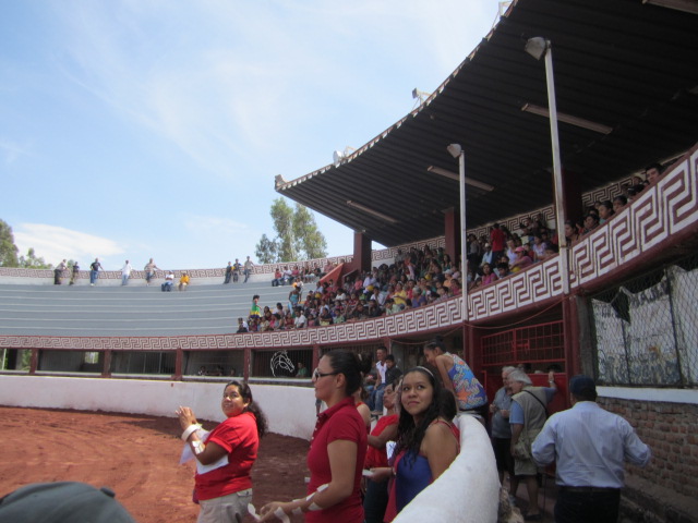 The Stands
