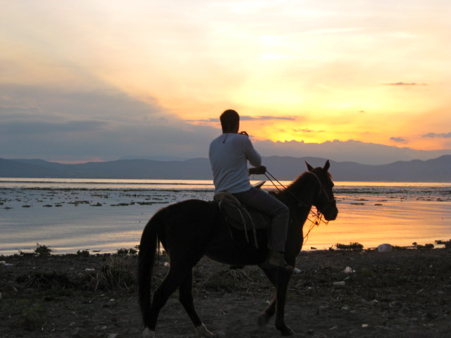 Horseback riding on Beach