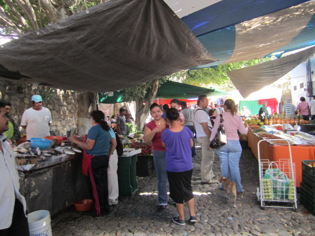 Ajijic Wednesday Market
