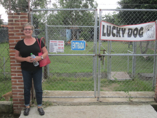 Entrance to the Lucky Dog Shelter