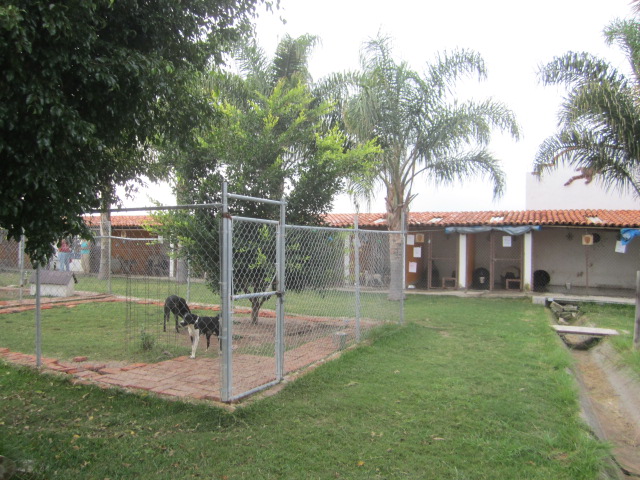The Yard
