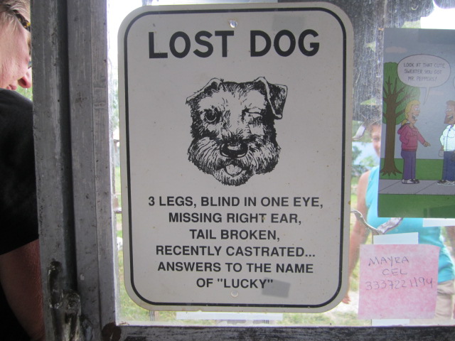 Sign in the Office