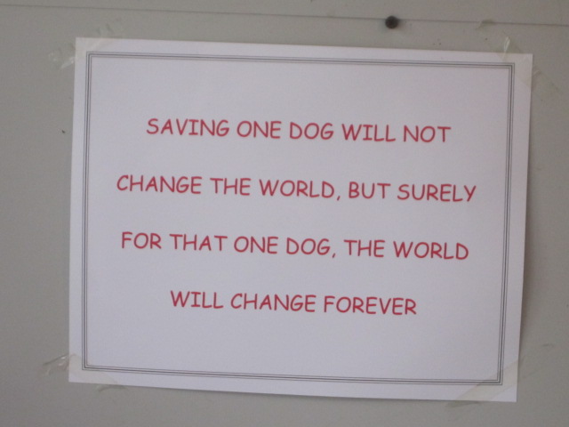 Sign about dogs