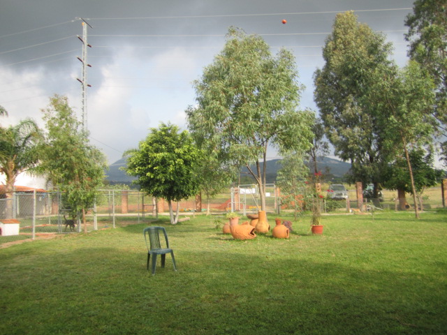 The yard