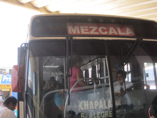 The Bus