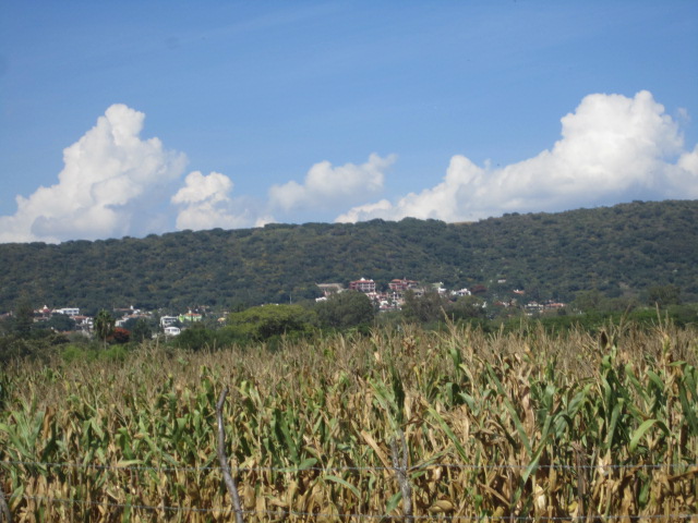 Vista del Lago