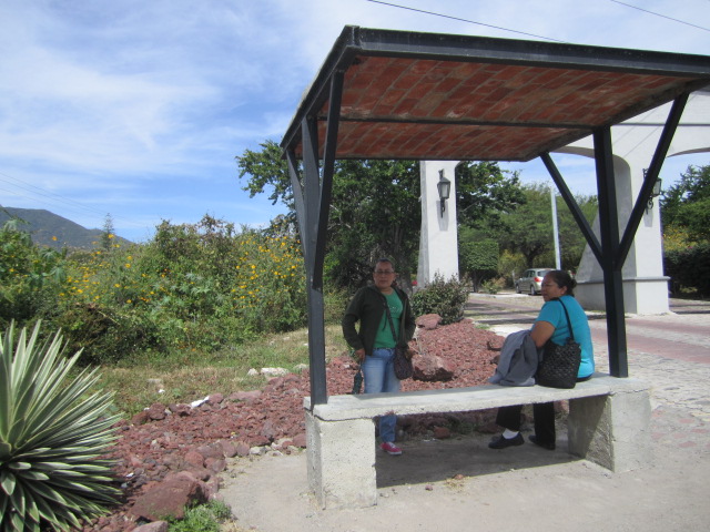 Bus Stop at Vista Del Lago