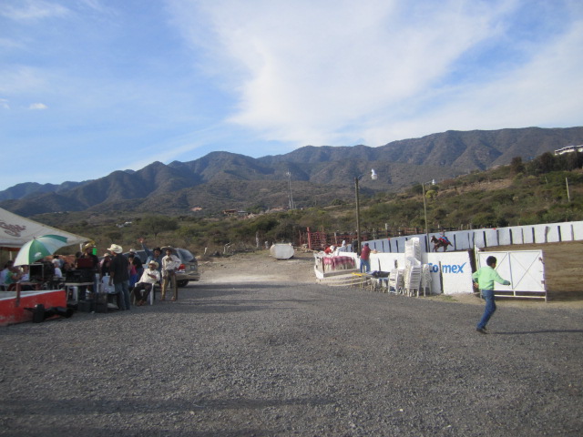 The Arena