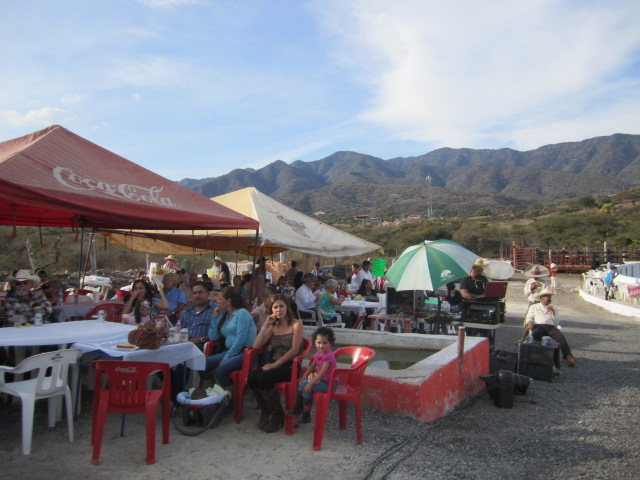 Food Stands