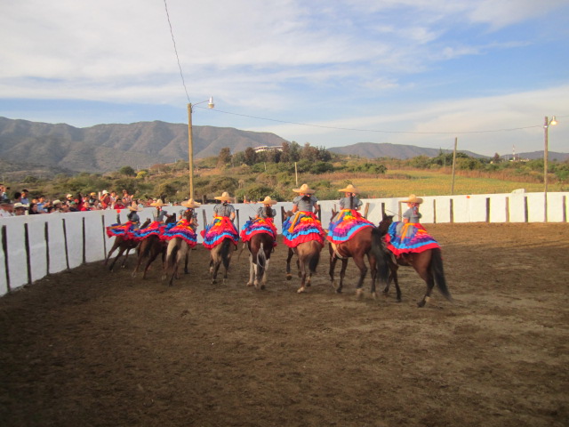 Escaramuza Riders