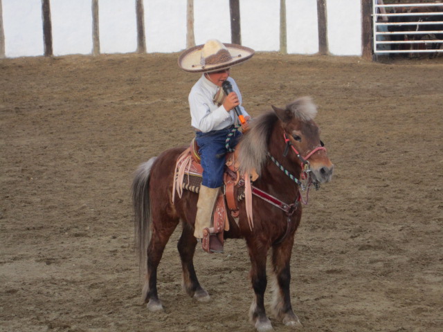 Boy Singing on a Pony