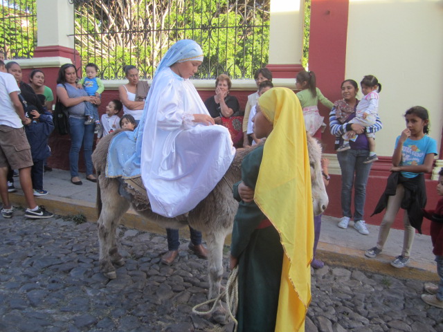 Girl dressed as Mary on a Donkey