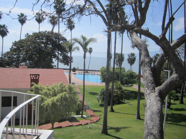View from the workshop
