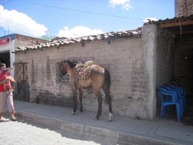 oHorse in San Juan Evangelista