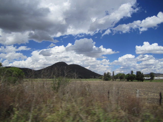 Area Surrounding the Lake