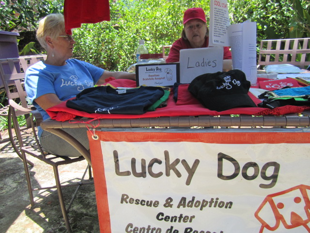 Lucky Dog Shelter
