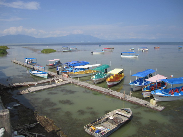 The Boats