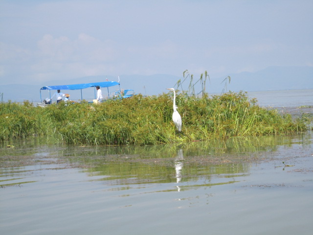 Leaving Chapala by Boat
