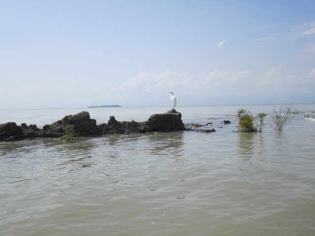 Scorpion Island in the Distance