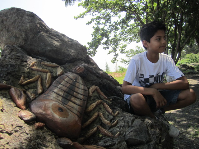 Scorpion on a Rock