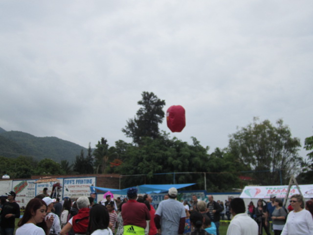 Globo going up
