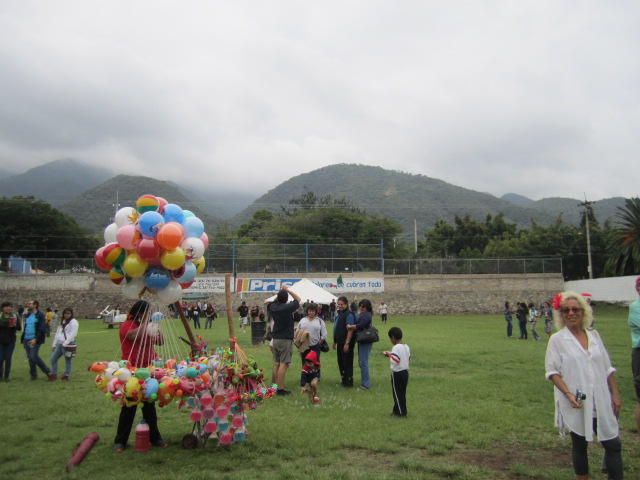 The field