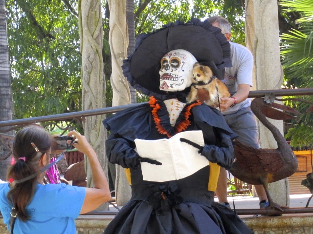 Lectora De Luto