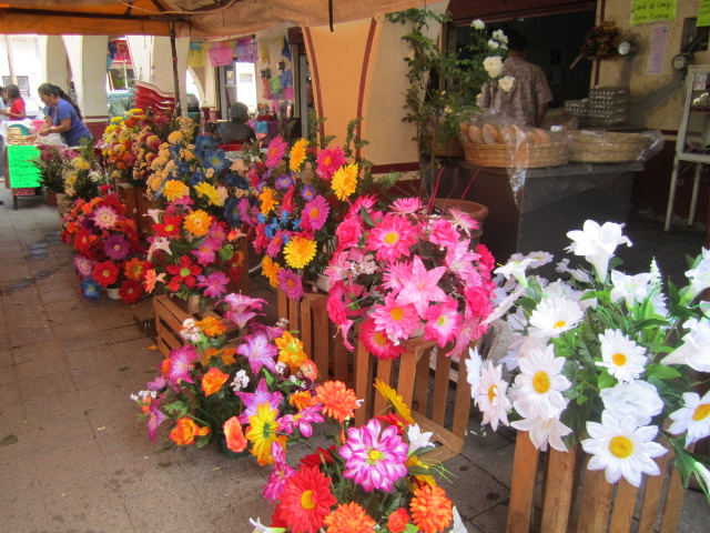 Flowers in the Plaza