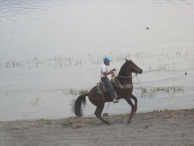 Dancing Horse