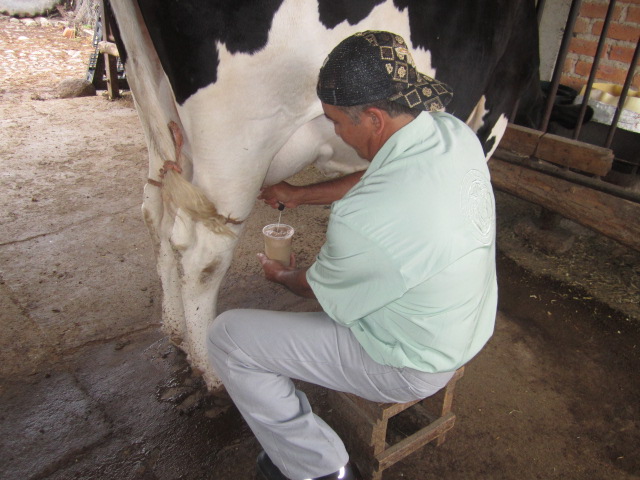 Milk is added last