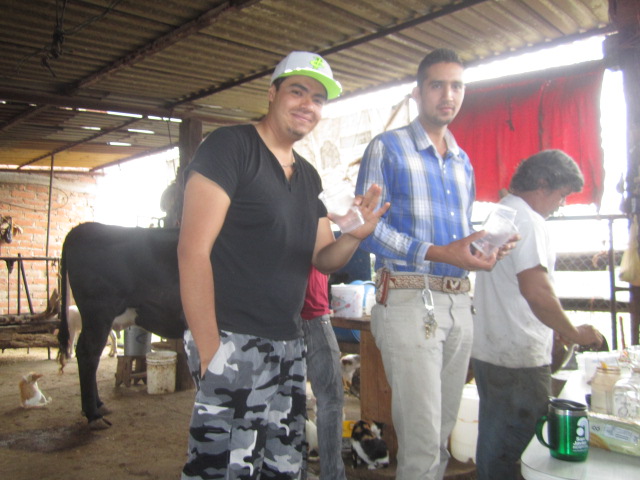 Cowboys