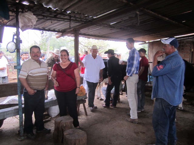 People in the barn
