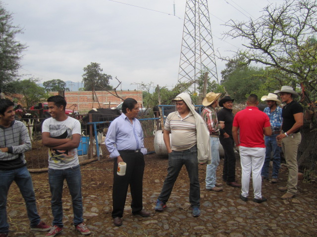 People in the yard