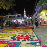 Flower Carpet Ajijic Plaza