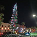 Christmas Tree Chapala