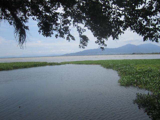 View from the Restaurant