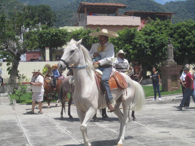 Dancing horse