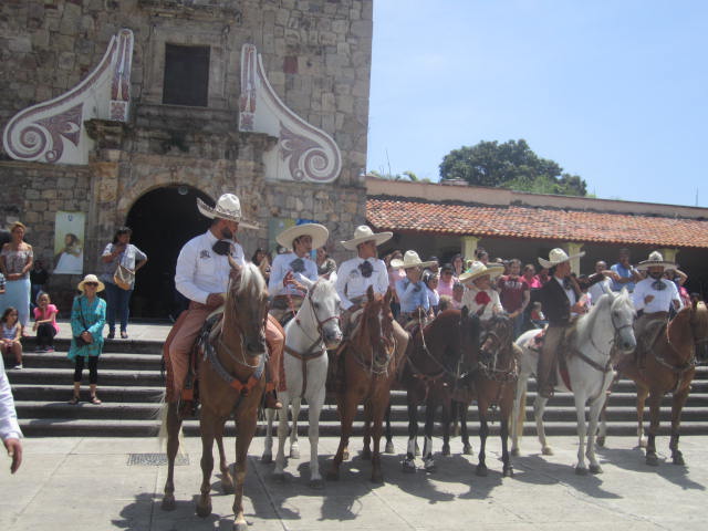 Horses at the church