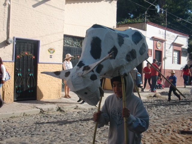 Boy with bull