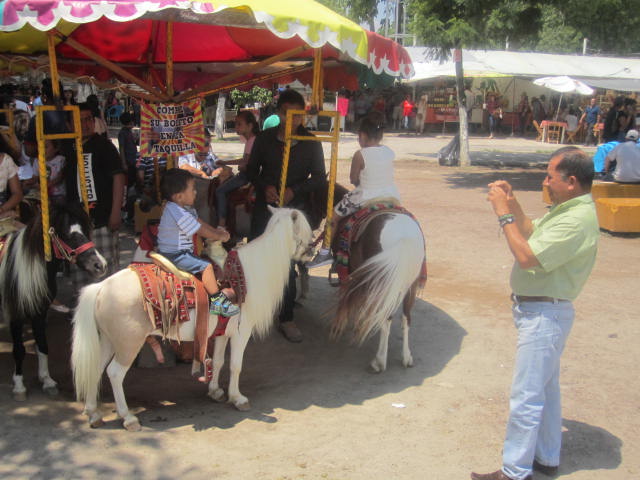 Pony rides