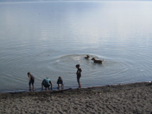 The lake