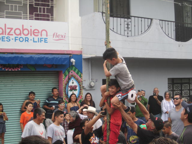 Boys climbing pole