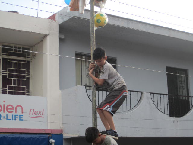 Boys climbing pole