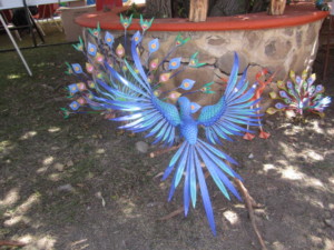 Bird from Oaxaca