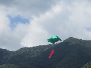 Flying globo